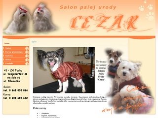 Podgląd saloncezar.com.pl