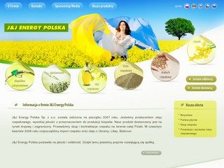 Podgląd jjenergy.pl
