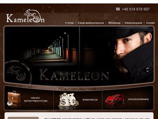 Podgląd detektywi.torun.kameleonservice.pl