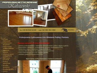 Miniaturka profesjonalne-cyklinowanie.pl