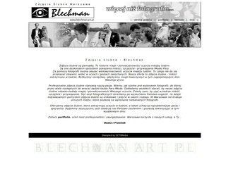 Podgląd blechman.art.pl
