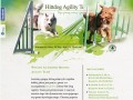 Podgląd agility.hittdog.pl