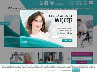 Podgląd borczyk.pl