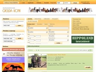Podgląd gielda-koni.com.pl