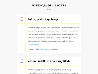 Podgląd bizu-art.com.pl