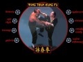 Podgląd wtkungfu.pl