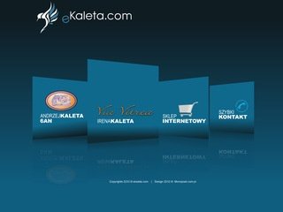 Podgląd ekaleta.com