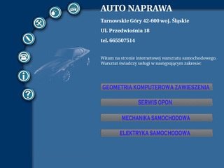 Podgląd geometriakol.net.pl