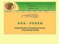 Podgląd dorprzem.com.pl
