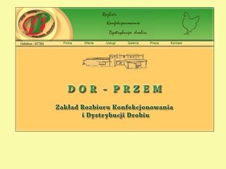Podgląd dorprzem.com.pl