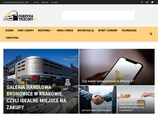 Podgląd fabrykatrzciny.pl
