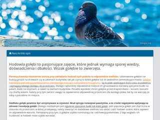 Podgląd mojeptaki.pl