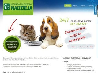 Podgląd nadziejawet.pl