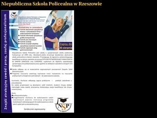 Podgląd nsp.org.pl