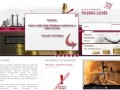 Podgląd pz.com.pl
