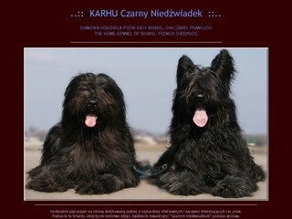 Podgląd karhu.republika.pl