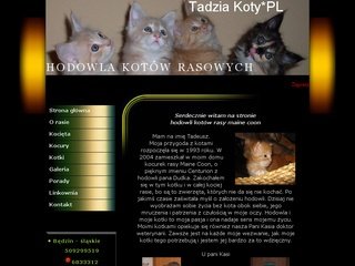 Podgląd tadziakoty.republika.pl