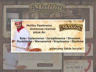 Podgląd pizzeriamalibu.pl