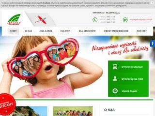 Podgląd odyseja.com.pl