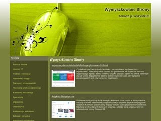 Podgląd kazimierzdolny-aktywnie.pl