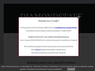 Podgląd diamondstaff.pl