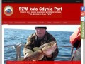 Podgląd pzwgdyniaport.pl