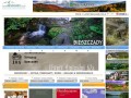 Podgląd bieszczady.net.pl