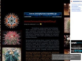 Podgląd ferocactus.republika.pl