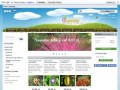 Podgląd oleander.pl