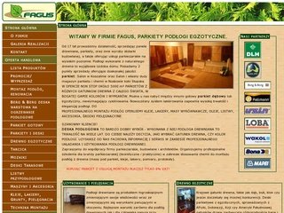 Miniaturka fagus.com.pl