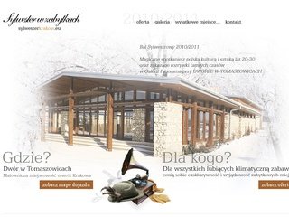 Miniaturka sylwesterkrakow.eu