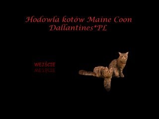 Podgląd draco-indiana.pl