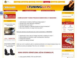 Miniaturka stuninguj.pl