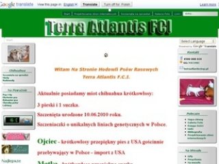 Podgląd terraatlantis.eu