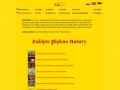 Podgląd lampysolne.pl