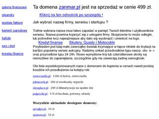 Podgląd zanmar.pl