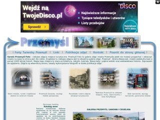 Miniaturka przemysl.friko.pl
