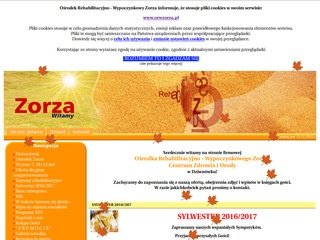 Podgląd orwzorza.pl