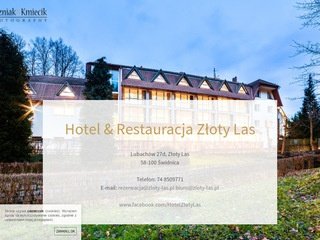 Podgląd zloty-las.pl