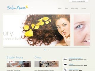 Podgląd salonaneta.com
