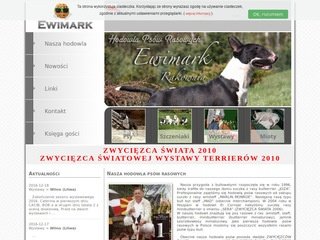 Podgląd ewimark.pl
