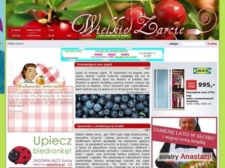 Podgląd wielkiezarcie.com