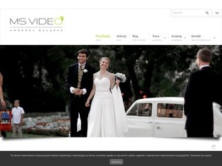 Podgląd msvideo.pl