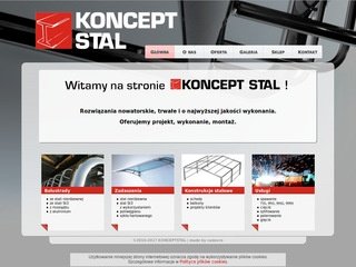 Podgląd konceptstal.pl