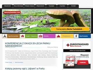 Podgląd borytucholskie.com