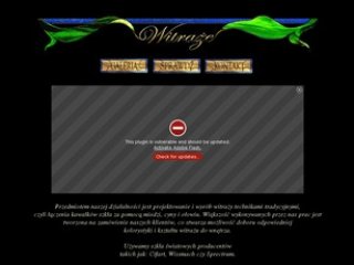 Podgląd lesicki.com.pl