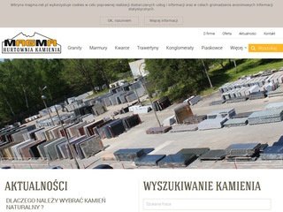 Podgląd magma.net.pl