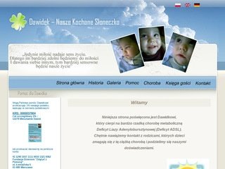 Miniaturka dawidek-adsl.pl