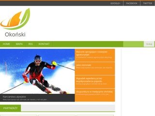 Miniaturka okonski.com.pl