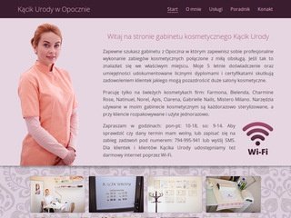 Podgląd projektujemyinternet.pl
